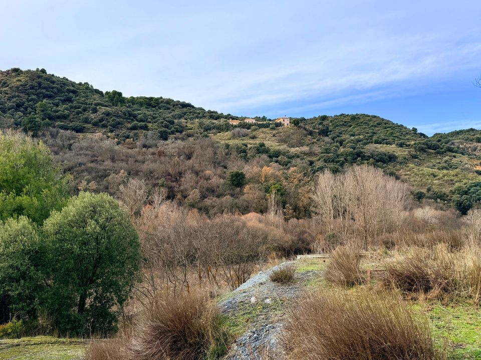 Erhvervsejendom i Diezma, Granada - foto 5